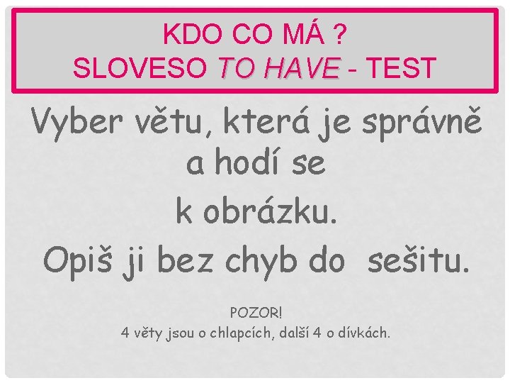 KDO CO MÁ ? SLOVESO TO HAVE - TEST Vyber větu, která je správně