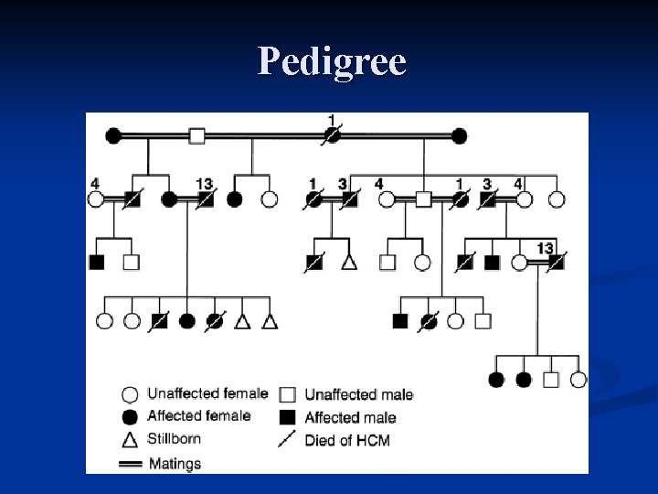 Pedigree 