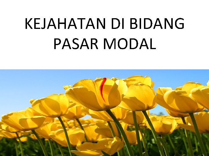 KEJAHATAN DI BIDANG PASAR MODAL 