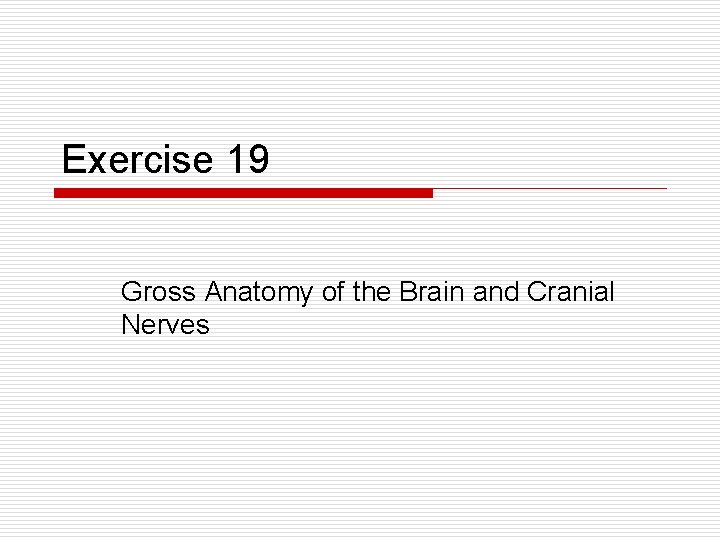 Exercise 19 Gross Anatomy of the Brain and Cranial Nerves 