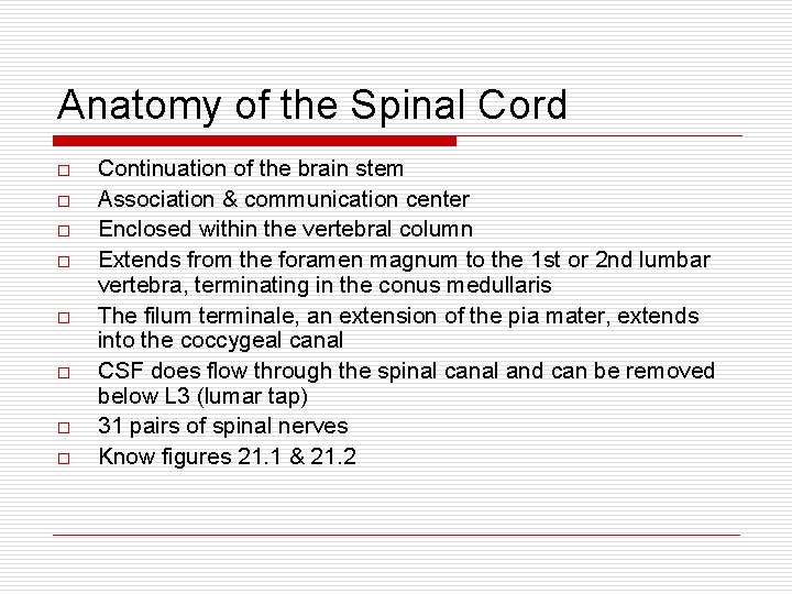 Anatomy of the Spinal Cord o o o o Continuation of the brain stem