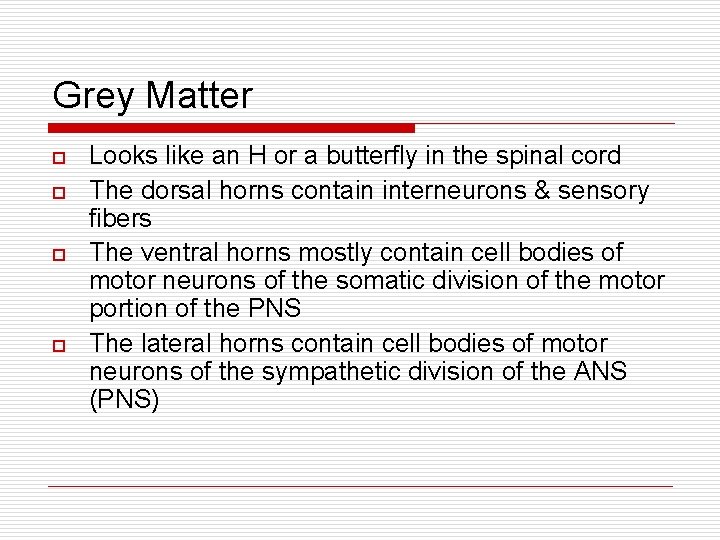 Grey Matter o o Looks like an H or a butterfly in the spinal