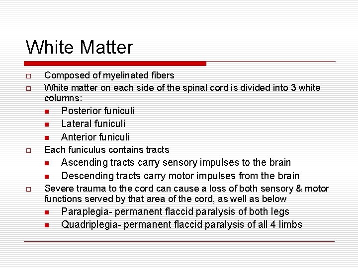 White Matter o o Composed of myelinated fibers White matter on each side of