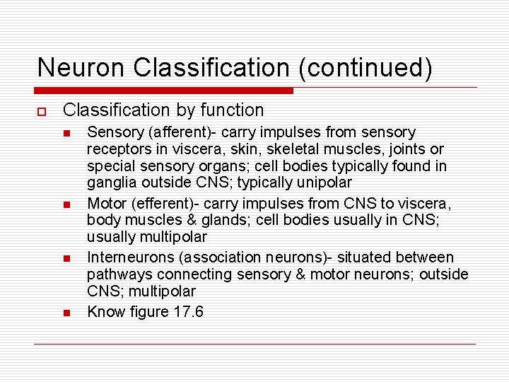 Neuron Classification (continued) o Classification by function n n Sensory (afferent)- carry impulses from