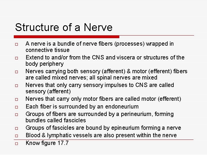 Structure of a Nerve o o o o o A nerve is a bundle