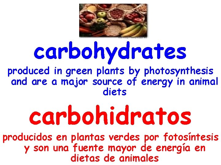 carbohydrates produced in green plants by photosynthesis and are a major source of energy