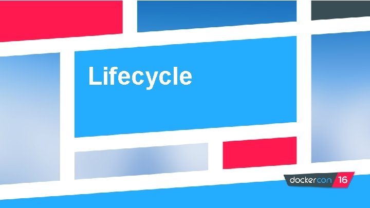 Lifecycle 