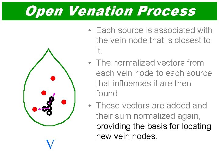 Open Venation Process V • Each source is associated with the vein node that