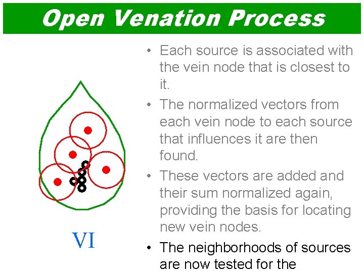 Open Venation Process VI • Each source is associated with the vein node that