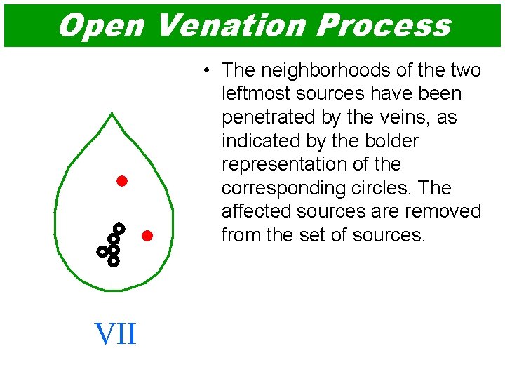 Open Venation Process • The neighborhoods of the two leftmost sources have been penetrated
