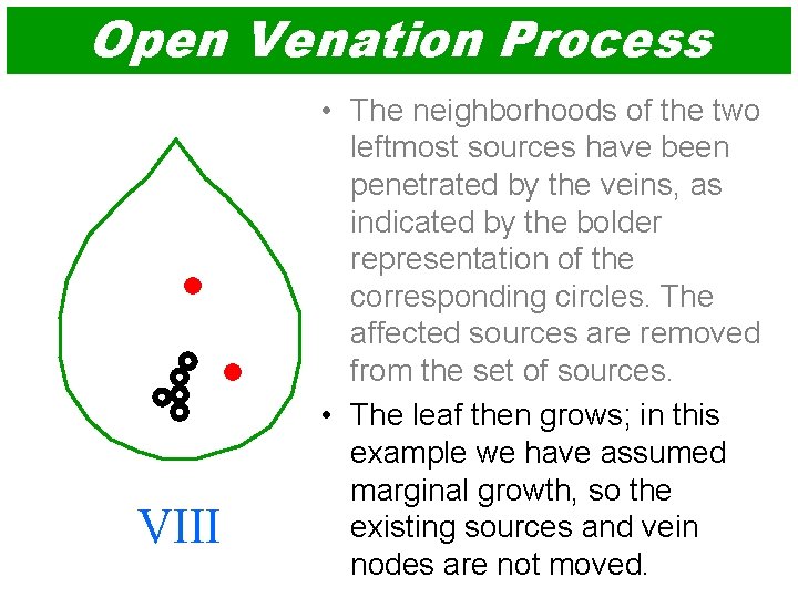Open Venation Process VIII • The neighborhoods of the two leftmost sources have been