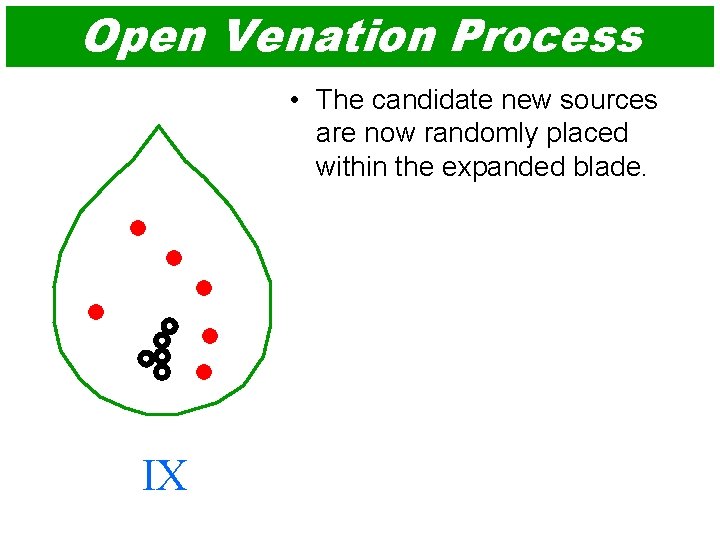 Open Venation Process • The candidate new sources are now randomly placed within the