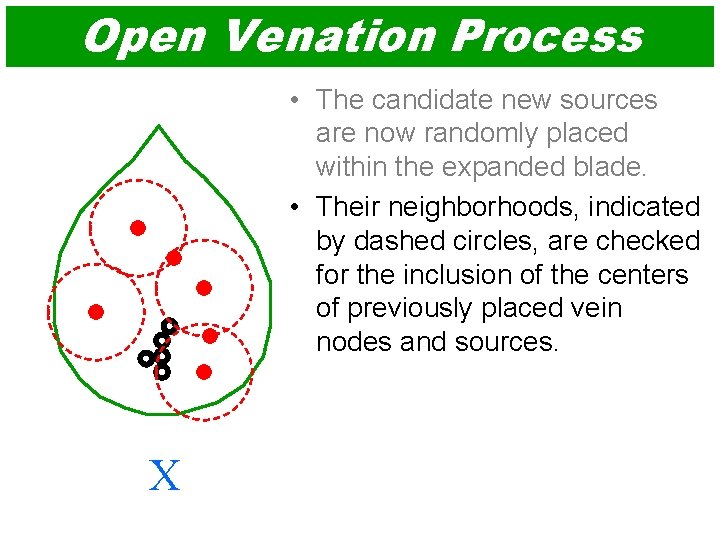 Open Venation Process • The candidate new sources are now randomly placed within the
