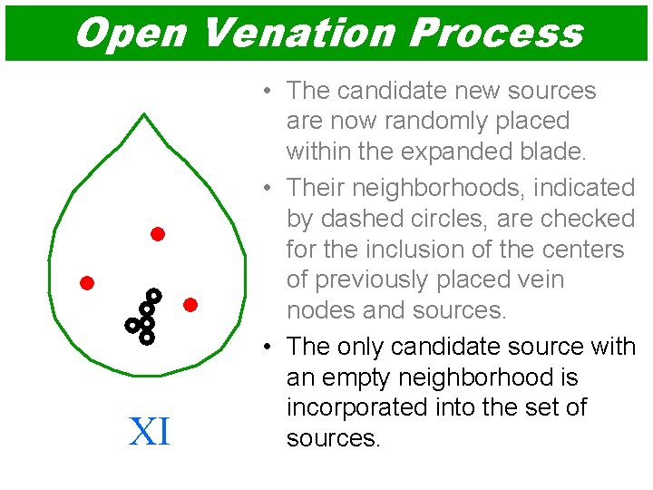 Open Venation Process XI • The candidate new sources are now randomly placed within