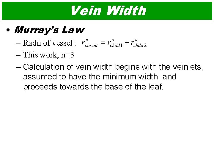 Vein Width • Murray’s Law – Radii of vessel : – This work, n=3