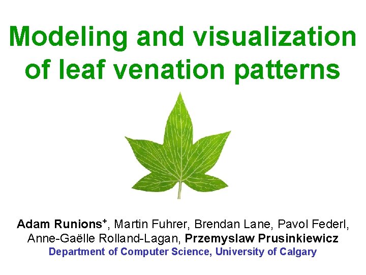 Modeling and visualization of leaf venation patterns Adam Runions+, Martin Fuhrer, Brendan Lane, Pavol