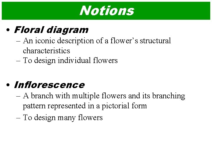 Notions • Floral diagram – An iconic description of a flower’s structural characteristics –