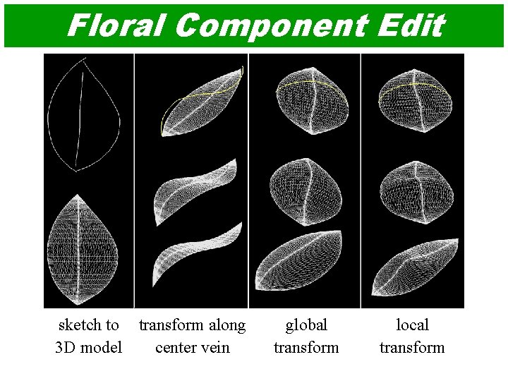 Floral Component Edit sketch to transform along 3 D model center vein global transform