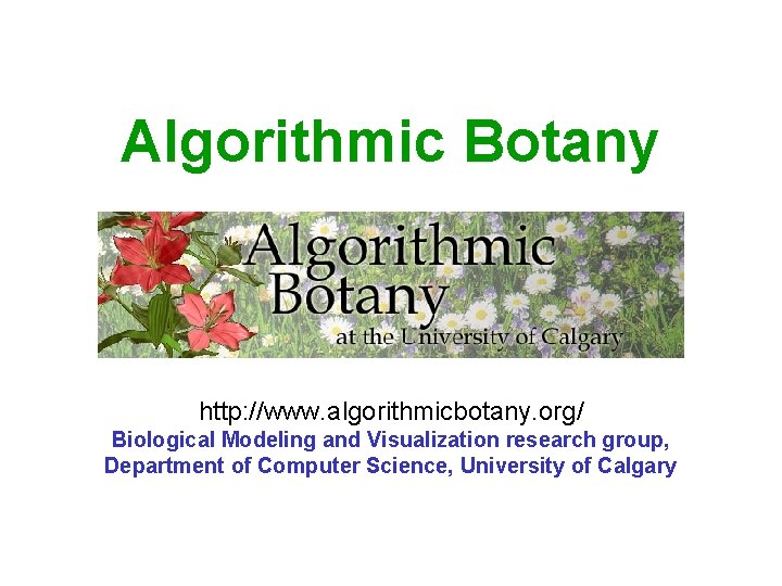 Algorithmic Botany http: //www. algorithmicbotany. org/ Biological Modeling and Visualization research group, Department of