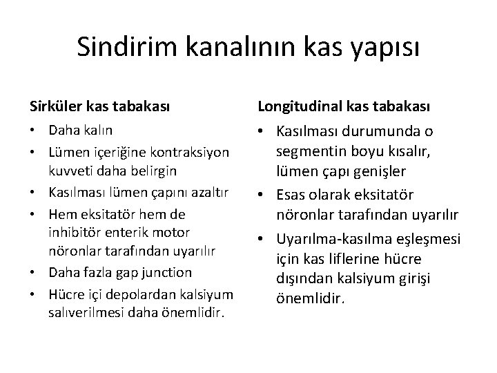 Sindirim kanalının kas yapısı Sirküler kas tabakası Longitudinal kas tabakası • Daha kalın •