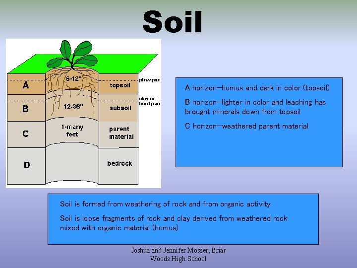 Soil A horizon—humus and dark in color (topsoil) B horizon—lighter in color and leaching