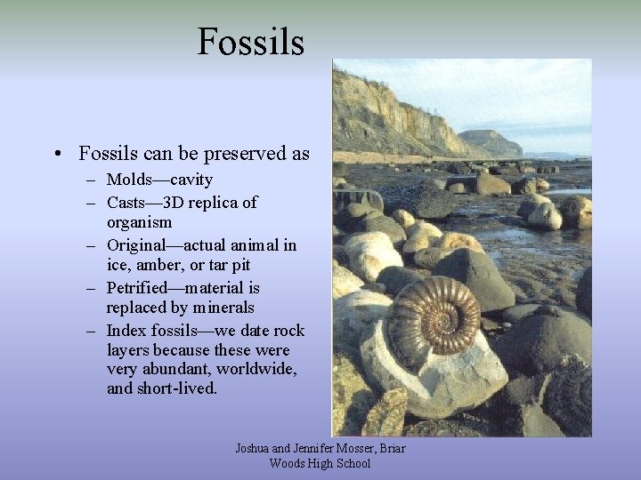 Fossils • Fossils can be preserved as – Molds—cavity – Casts— 3 D replica