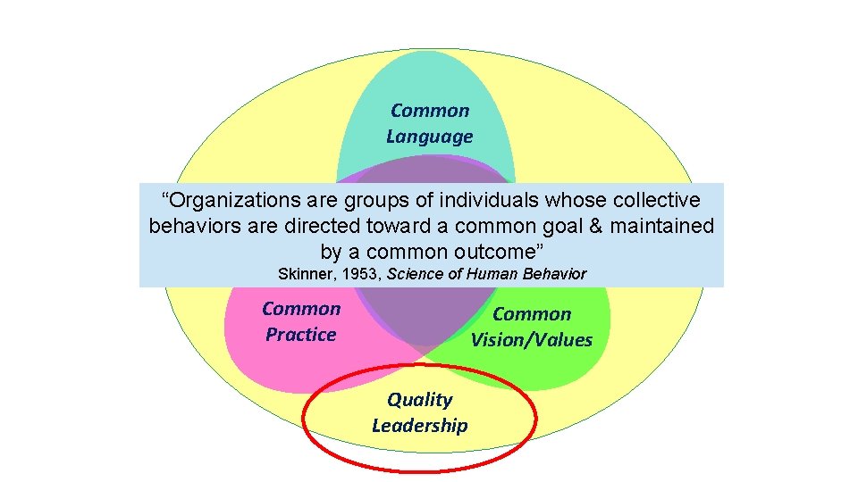 Common Language “Organizations are groups of individuals whose collective behaviors are directed toward a