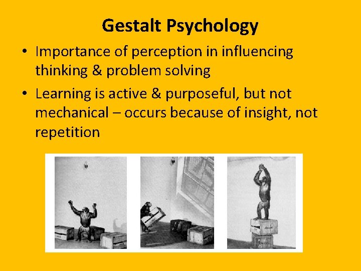 Gestalt Psychology • Importance of perception in influencing thinking & problem solving • Learning