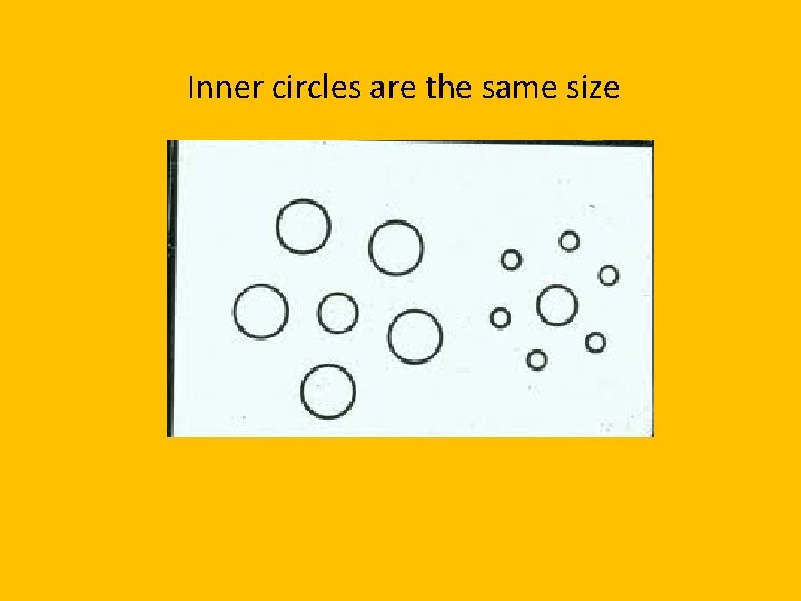 Inner circles are the same size 