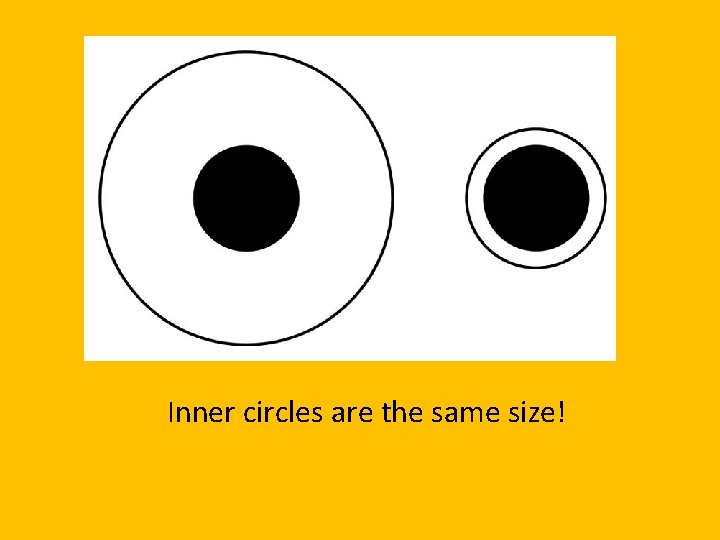 Inner circles are the same size! 