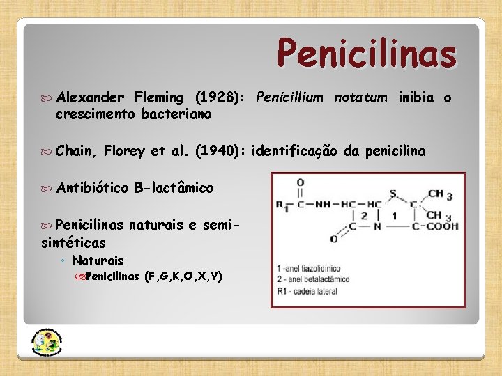 Penicilinas Alexander Fleming (1928): Penicillium notatum inibia o crescimento bacteriano Chain, Florey et al.