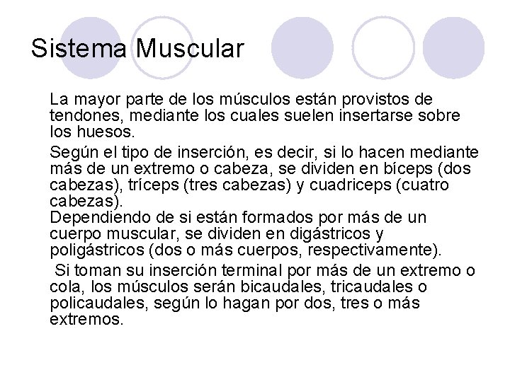 Sistema Muscular La mayor parte de los músculos están provistos de tendones, mediante los