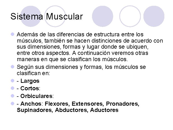 Sistema Muscular l Además de las diferencias de estructura entre los músculos, también se