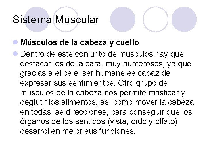 Sistema Muscular l Músculos de la cabeza y cuello l Dentro de este conjunto