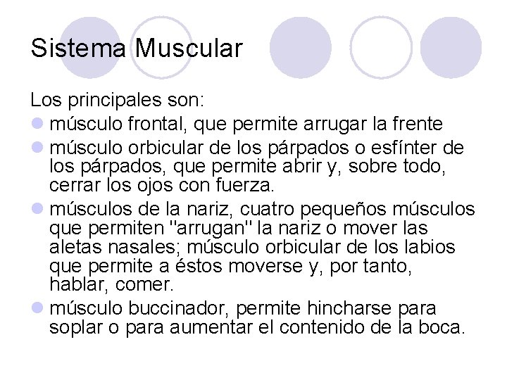 Sistema Muscular Los principales son: l músculo frontal, que permite arrugar la frente l