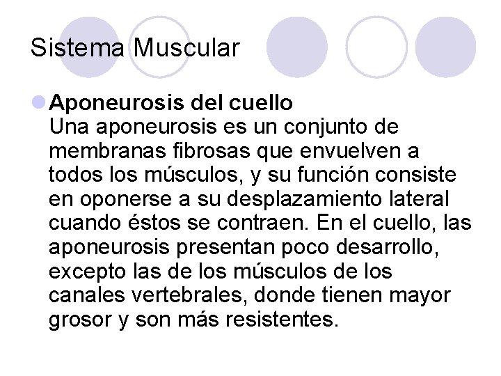 Sistema Muscular l Aponeurosis del cuello Una aponeurosis es un conjunto de membranas fibrosas