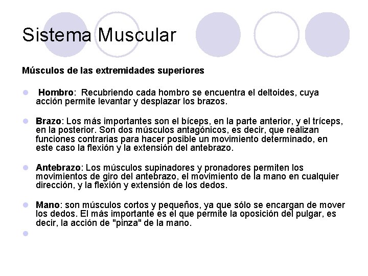 Sistema Muscular Músculos de las extremidades superiores l Hombro: Recubriendo cada hombro se encuentra