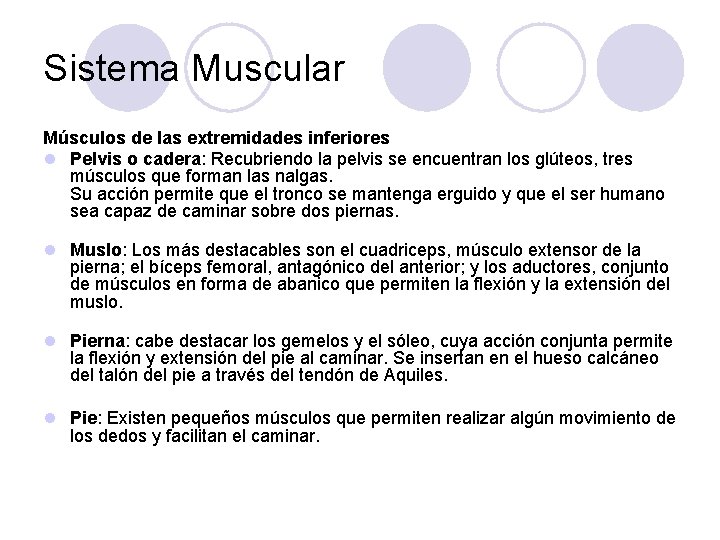 Sistema Muscular Músculos de las extremidades inferiores l Pelvis o cadera: Recubriendo la pelvis