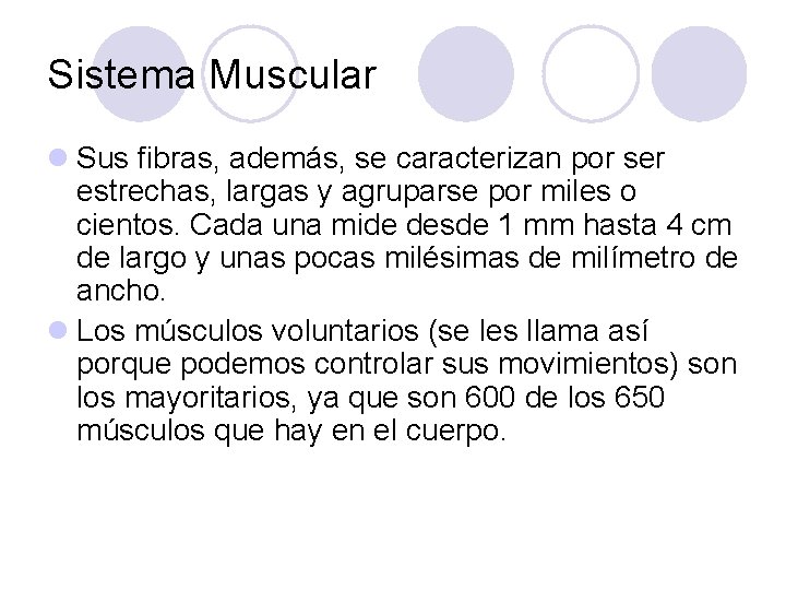 Sistema Muscular l Sus fibras, además, se caracterizan por ser estrechas, largas y agruparse