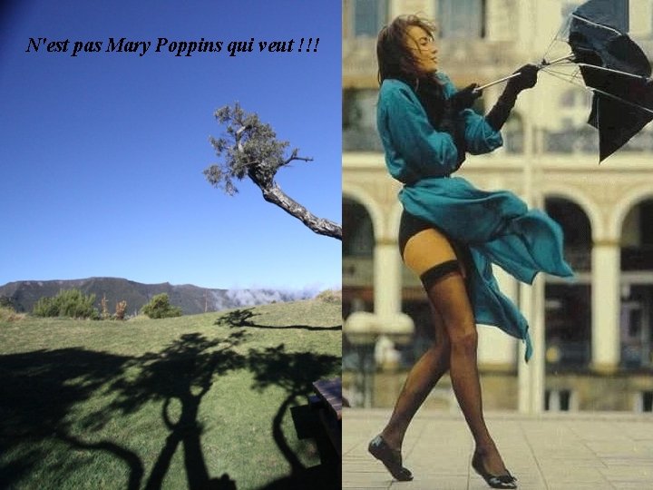 N'est pas Mary Poppins qui veut !!! 