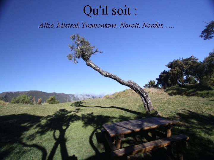 Qu'il soit : Alizé, Mistral, Tramontane, Noroit, Nordet, . . . 