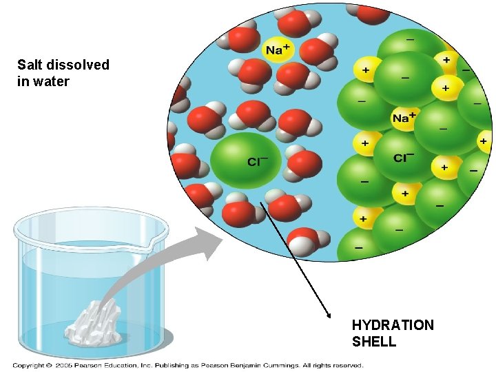 Salt dissolved in water HYDRATION SHELL 