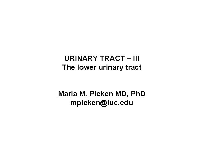 URINARY TRACT – III The lower urinary tract Maria M. Picken MD, Ph. D