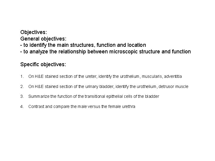 Objectives: General objectives: - to identify the main structures, function and location - to