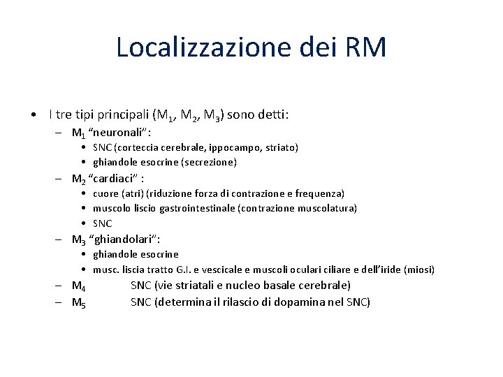 Localizzazione dei RM • I tre tipi principali (M 1, M 2, M 3)
