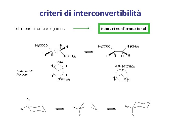 criteri di interconvertibilità rotazione attorno a legami s 