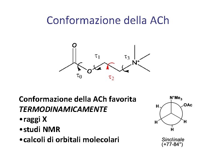 Conformazione della ACh favorita TERMODINAMICAMENTE • raggi X • studi NMR • calcoli di