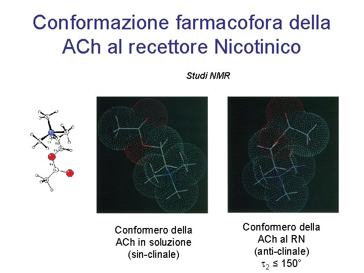 Conformazione farmacofora della ACh al recettore Nicotinico Studi NMR Conformero della ACh in soluzione