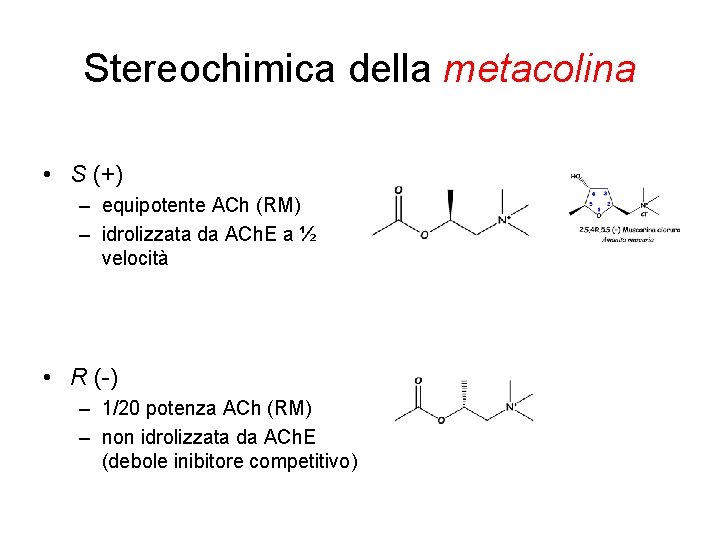 Stereochimica della metacolina • S (+) – equipotente ACh (RM) – idrolizzata da ACh.