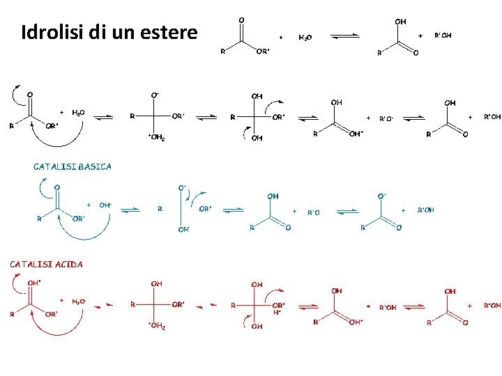 Idrolisi di un estere 